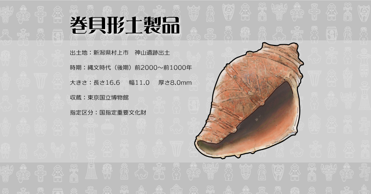 存在感バツグン！巨大型巻き貝トウカムリ貝 千年貝 オブジェ長